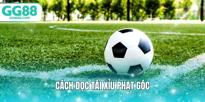 Cách đọc tài xỉu phạt góc