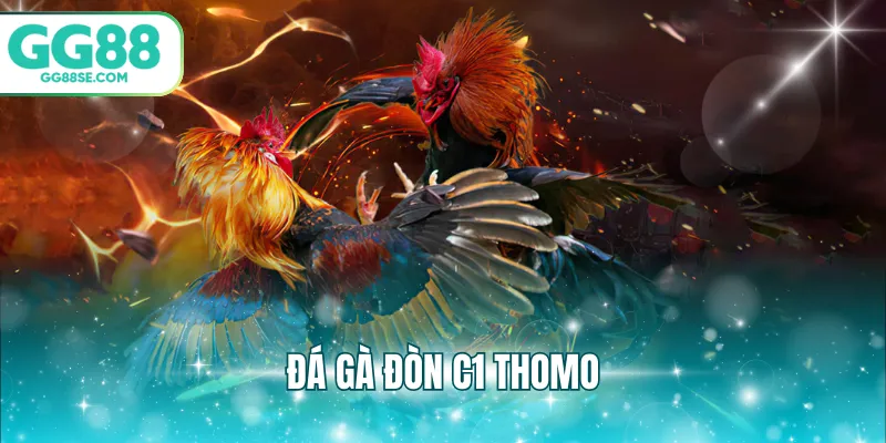 đá gà đòn c1 thomo