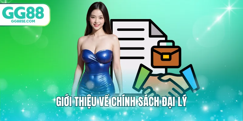 Giới thiệu về chính sách đại lý